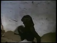 أول دسار في كس ، سكسي امهات كبار ثم ديك في الفم