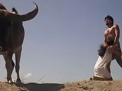 غي سكسي امهاة فرايز فتاته في المطبخ